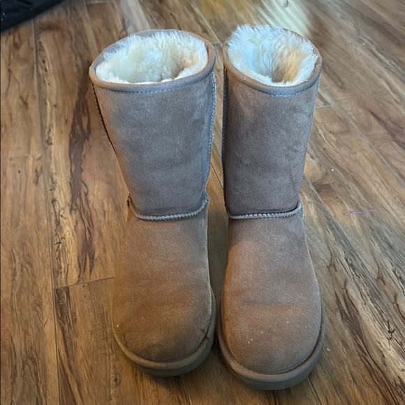 UGG Shoes - UGG Tan Winter Boots with Cream Sheepskin Lining
